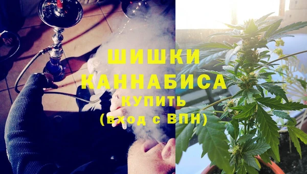 ПСИЛОЦИБИНОВЫЕ ГРИБЫ Протвино
