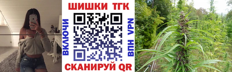 где купить Кодинск Конопля индика